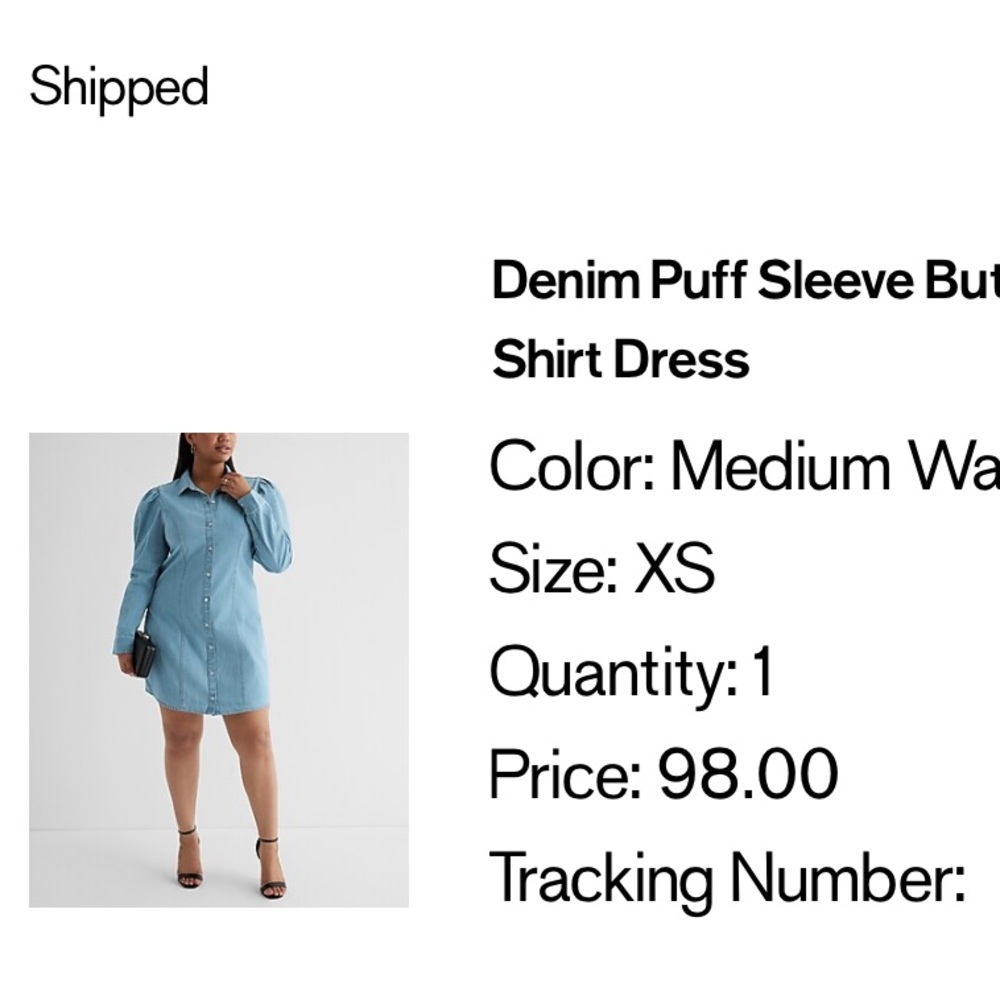 Express Medium Wash Denim Puff Sleeve Shirt Dress